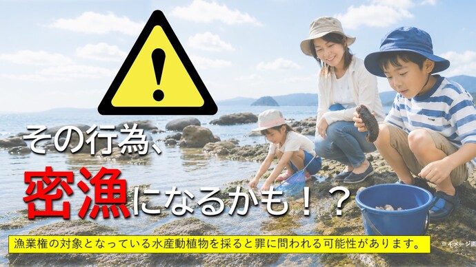 その行為、密漁になるかも？