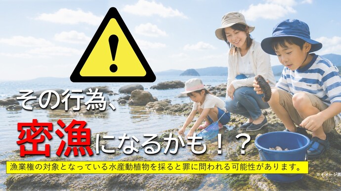 その行為、密漁になるかも？