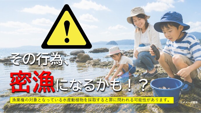 その行為、密漁になるかも？