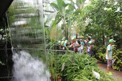 写真：熱帯植物館