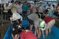 写真：夏祭り2