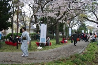 真締川公園に設置された茶室の写真