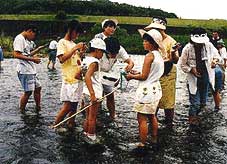 写真：水辺で子どもたちが活動する様子