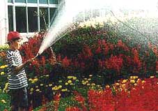 写真：花に水をやっている様子