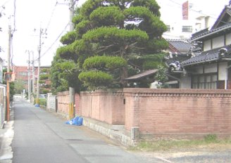 写真：緑豊かな住宅地