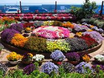 写真：青木さんの花壇