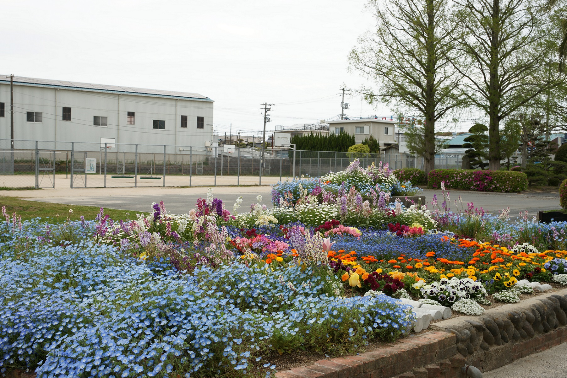 第117回春の花壇コンクール 優秀花壇写真集 宇部市公式ウェブサイト