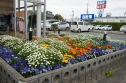 写真：博愛会　コミュニティスペース　ふぁみらんどの花壇