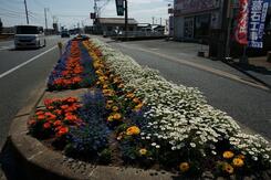 写真：東岐波福祉委員会の花壇