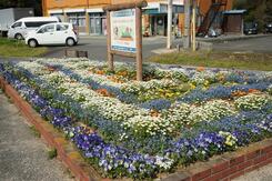 写真：東岐波校区ふれあい運動推進員会の花壇