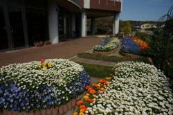 写真：特別養護老人ホーム　日の山園の花壇