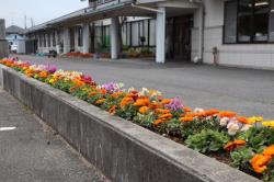 写真：介護老人保健施設　寿光園の花壇