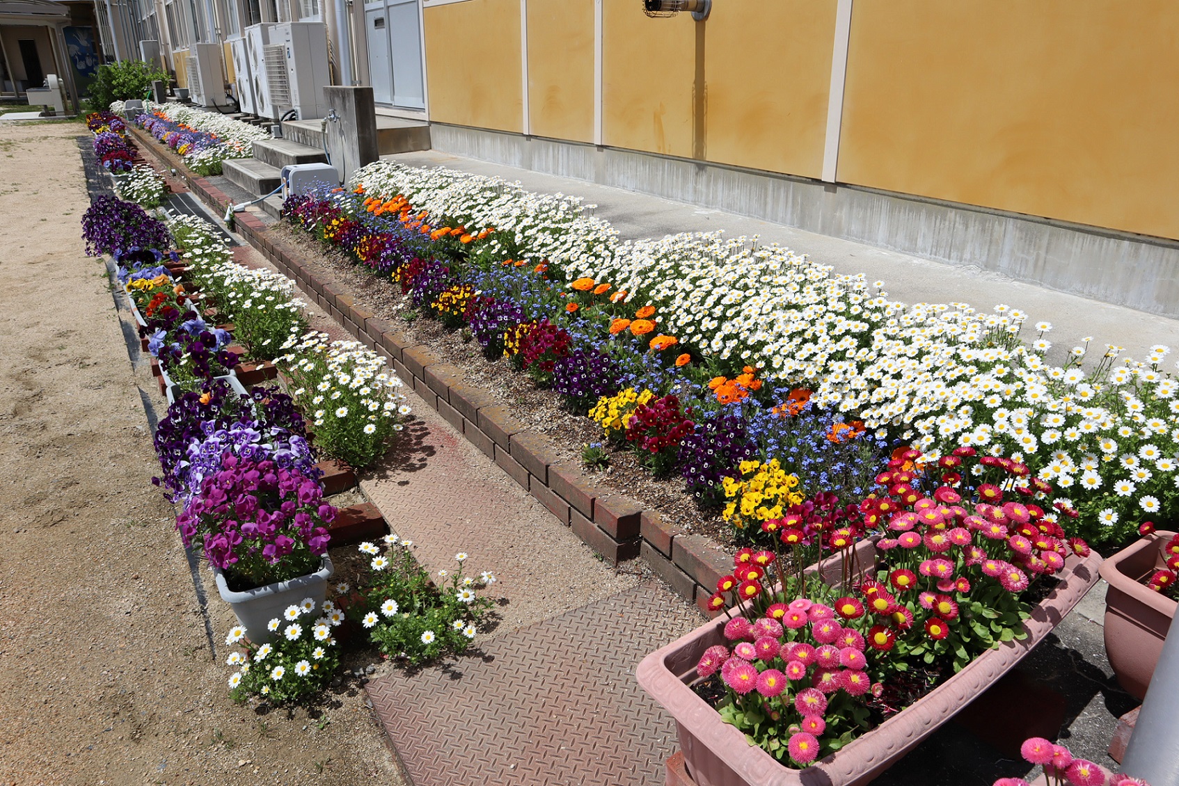 第117回春の花壇コンクール 優秀花壇写真集 宇部市公式ウェブサイト