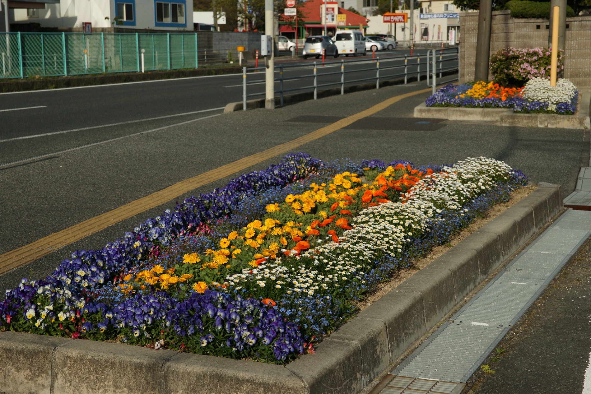 第117回春の花壇コンクール 優秀花壇写真集 宇部市公式ウェブサイト