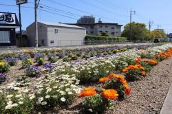 写真：宇部中央消防署　東部出張所の花壇