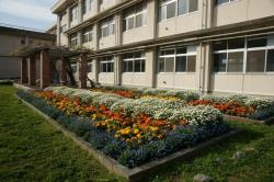 写真：山口県立宇部中央高等学校の花壇
