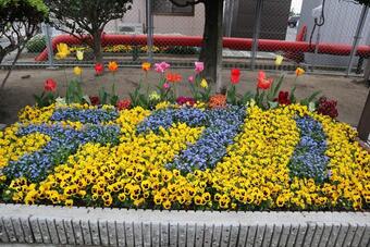 写真：春の花壇コンクール