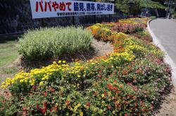 川上校区コミュニティ推進協議会の花壇の写真