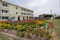 写真：宇部市立藤山中学校の花壇。校舎の前の花壇に多くの花が咲いています。