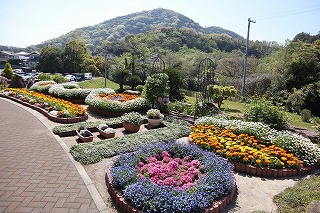 写真：丸い花壇と鉢植えが複数あり、様々な色の花が咲いています