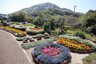 写真：丸い花壇と鉢植えが複数あり、様々な色の花が咲いています