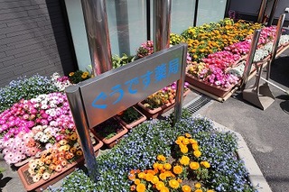 写真：建物の近くに様々な色の花が咲いています
