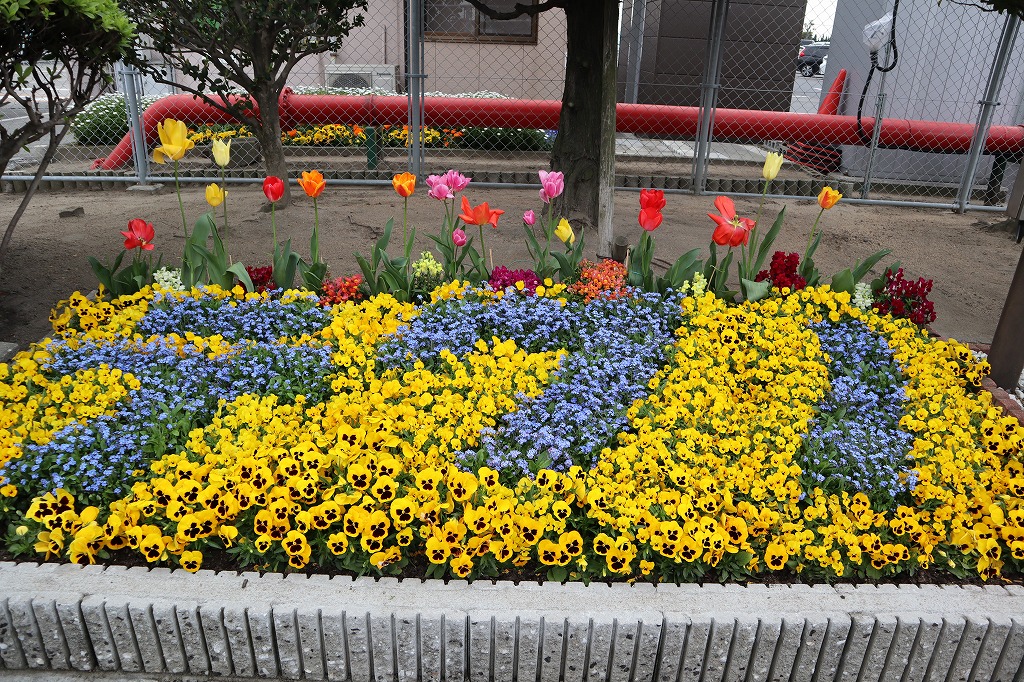 令和元年度 第115回 春の花壇コンクール 表彰花壇写真集 宇部市公式ウェブサイト