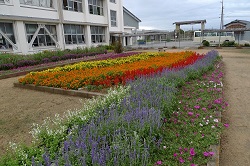 写真：宇部市立西岐波中学校花壇