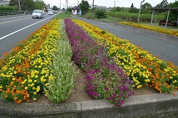 写真：宇部中央消防署　東部出張所花壇