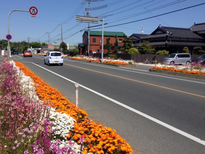 写真：東岐波区古殿自治会の花壇