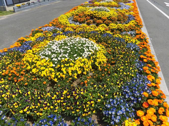 写真：特定非営利活動法人宇部を美しくする会の花壇