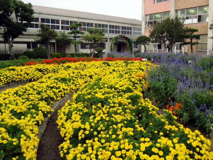 写真：神原小学校の花壇