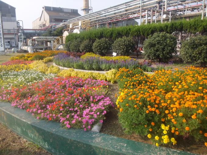 写真：宇部興産　宇部ケミカル工場の花壇