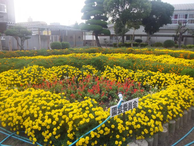 写真：神原小学校の花壇