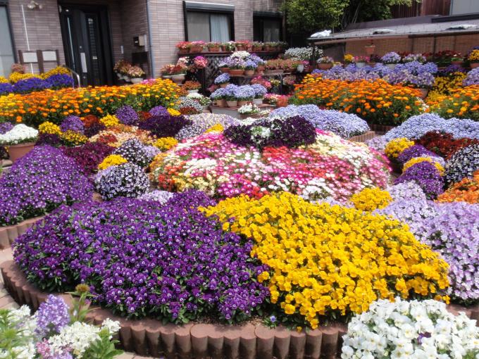 青木澄男様の花壇の写真