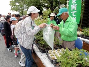 写真：緑化祭の様子