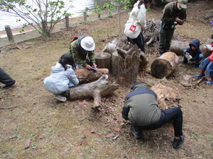 落ち葉の下にはなにがいるかなの実施状況