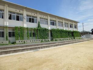写真：西岐波小学校令和2年緑のカーテン1