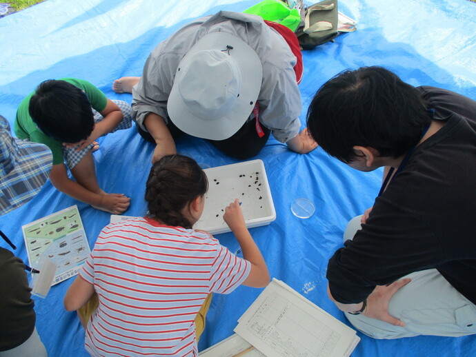 写真3