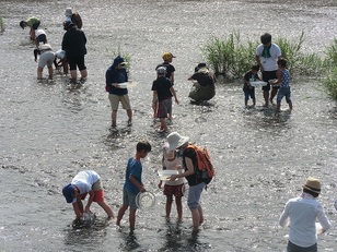 写真：平成27年8月7日　水辺の教室1