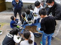 写真：コンポストの堆肥を使った鉢植えを作成する様子