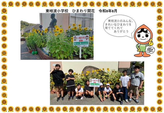 東岐波小学校ヒマワリ開花