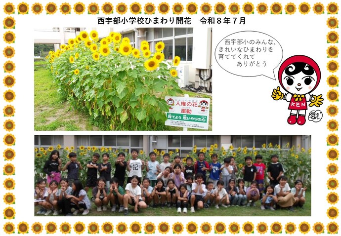 ヒマワリ開花