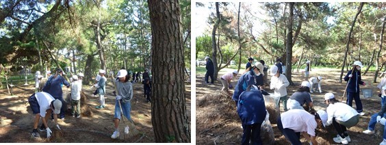 東岐波小中松林保全活動