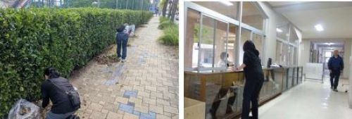 琴芝小環境整備