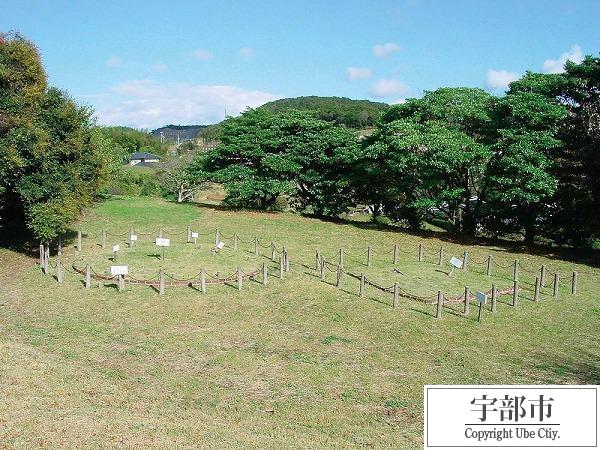 写真：北迫遺跡