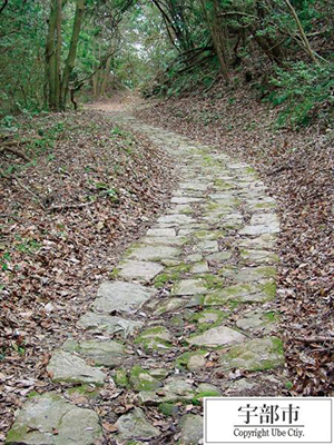 写真：千林尼棚井山田石畳道2