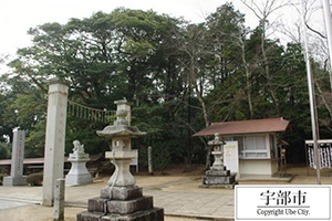 写真：松江八幡宮社叢2