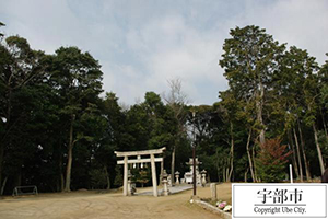 写真：松江八幡宮社叢4