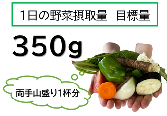 1日の野菜摂取量目標量　350g
